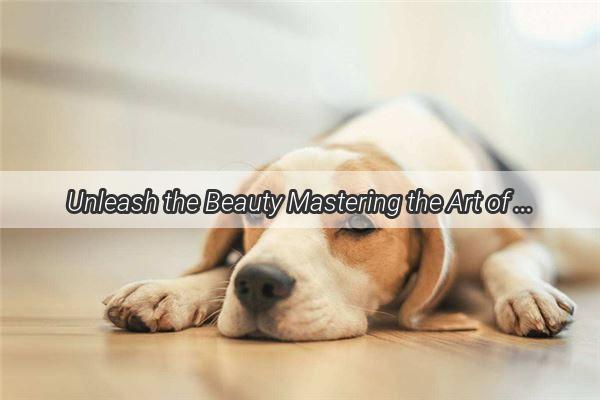 Unleash the Beauty Mastering the Art of Square Dog Grooming Styling